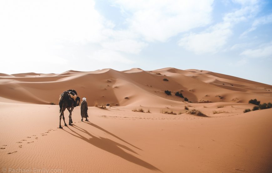 Pack de luxe : activités et hébergement à Merzouga