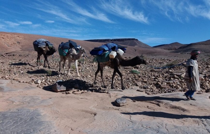 Randonnée au Désert Marocain. 4 jours du Marche