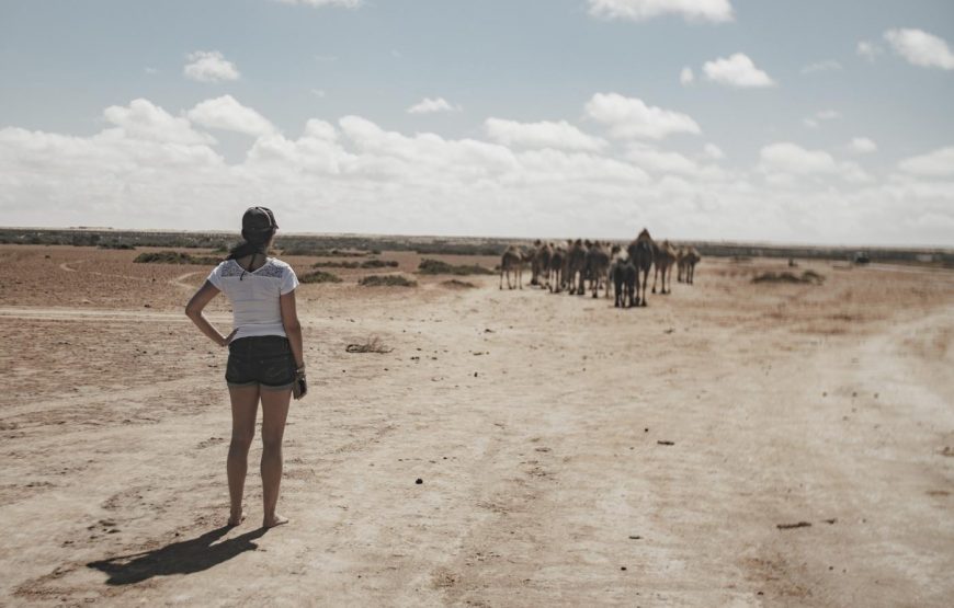 EXCURSION 4×4 : Grand Tour Imlili et la Dune Blanche